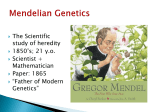 Mendelian Genetics