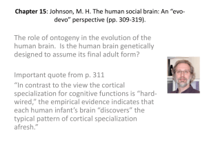 Chapter 15: Johnson, M. H. The human social brain: An *evo