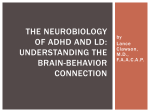 The Neurobiology of ADHD, Understanding the Brain