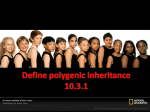 Define polygenic inheritance 10.3.1