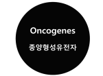 Oncogene – 종양 형성 유전자