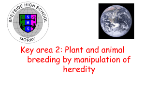 Key area 2: Plant and animal breeding by manipulation of heredity
