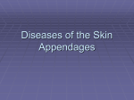 Diseases Of The Skin Appendages
