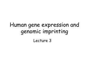 Human gene expression and genomic imprinting