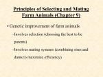 Chapter 1: Animal Agriculture