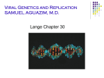 2_Viral _Genetics