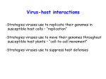 Viral_Path