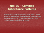 Complex Inheritance Patterns