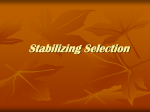 Stabilizing Selection