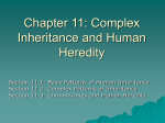 Chapter 11: Complex Inheritance and Human Heredity