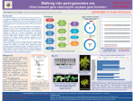 Powerpoint template for scientific posters (Swarthmore