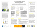 Powerpoint template for scientific posters (Swarthmore