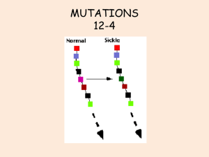 MUTATIONS 12-4 - Somers Public School District