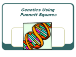 Introduction to Genetics using Punnett Squares