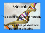 Genetics