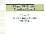 Chapter 10 Genetics: Mendel and Beyond