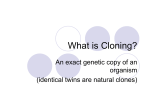 What is Cloning?