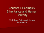 Chapter 11 Complex Inheritance and Human Heredity