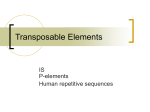 Sequence Alignment - Faculty of Science at Bilkent University