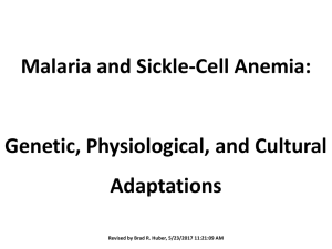 Sickle-Cell Anemia - College of Charleston