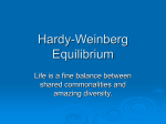 Hardy-Weinberg Equilibrium