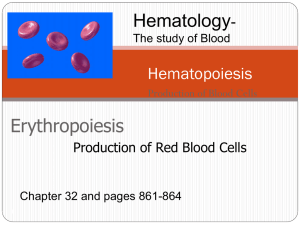 Hematopoiesis