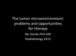 The tumor microenvironment: problems and opportunities for