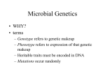 Microbial Genetics