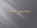 Punnett Squares - 7th Grade Science