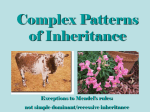 Complex Patterns of Inheritance