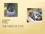 The Taste of Cats - University of Maryland, College Park