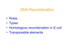 DNA Recombination