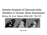 Genetic Analysis of Genome-wide Variation in Human Gene