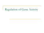 Regulation of Gene Activity