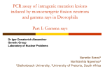 The elabration of RAMD-PCR assay for detection of a