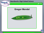 Gregor Mendel - Great Neck School District