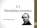 5.1 Mendelian Genetics - Mrs. Mortier's Science Page