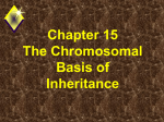 Chromosomal Basis of Inheritance