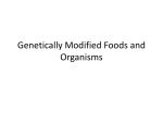 Genetically Modified Foods and Organisms