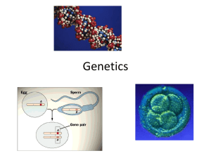 Genetics