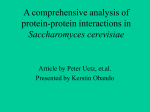 A comprehensive analysis of protein