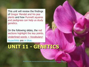 Genetics - Brook Biology