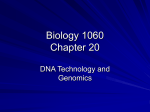 Biology 1060 Chapter 20 - College of Southern Maryland