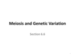 Meiosis and Genetic Variation