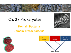 Lecture #12 Date