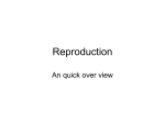 Reproduction