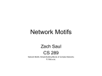 Network Motifs - Computer Science