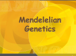 Mendel's genetics