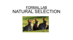 FORMAL LAB NATURAL SELECTION