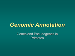 Genomic Annotation